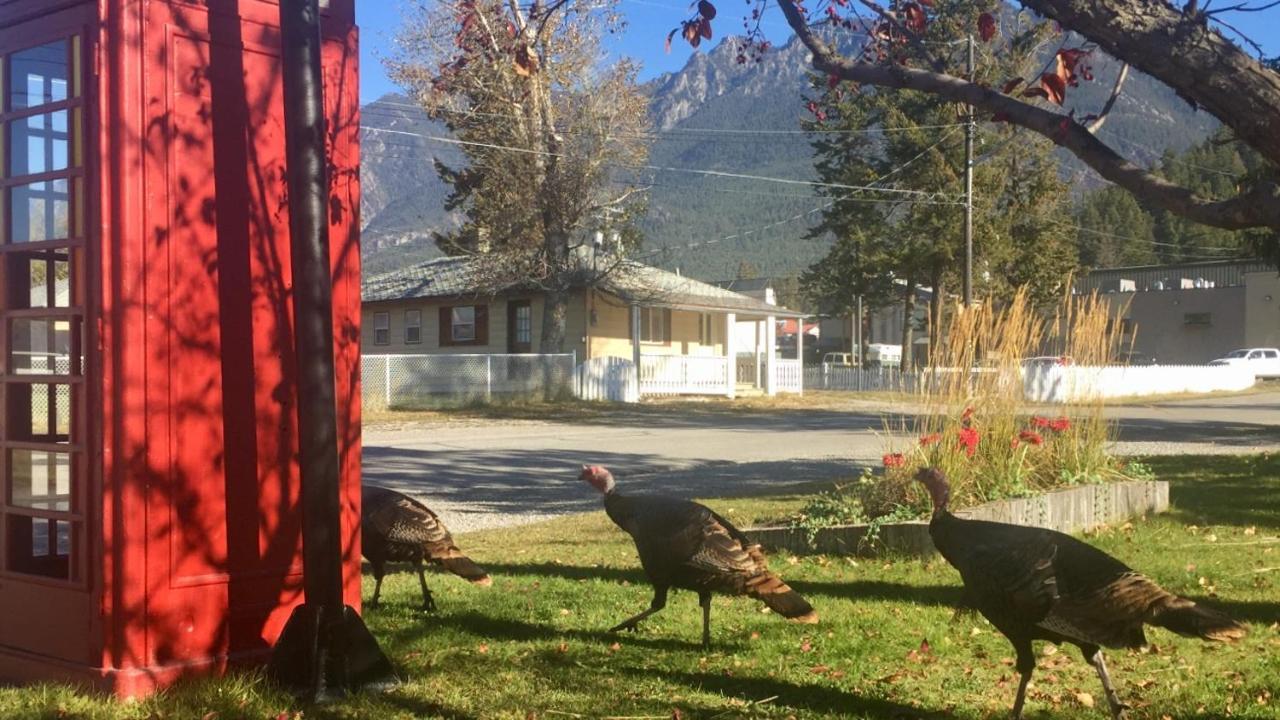 Piccadilly Motel Radium Hot Springs Ngoại thất bức ảnh